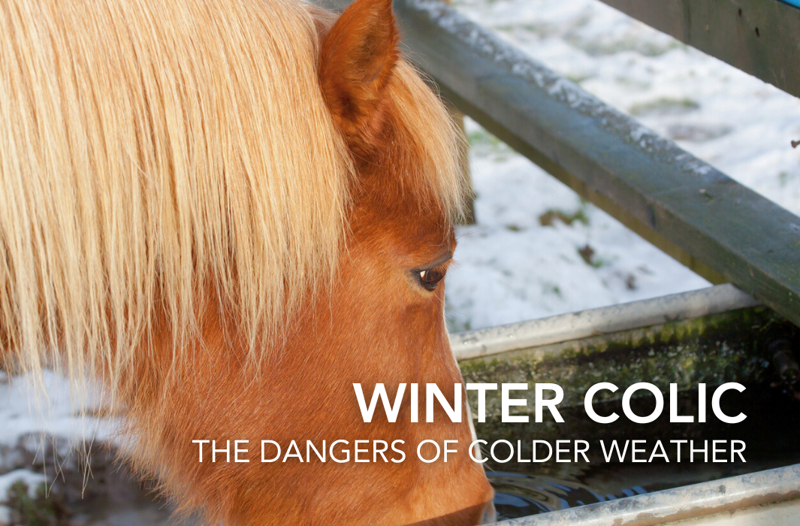 Winter Colic: The Dangers Of Cold Weather | Equine Science Matters™
